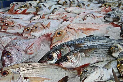 Рыбный рынок и магазин «Океан» откроют в столице Заполярья