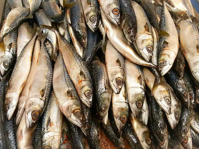 Более 170 тонн рыбной продукции реализовано в этом году в рамках проекта «Наша рыба»