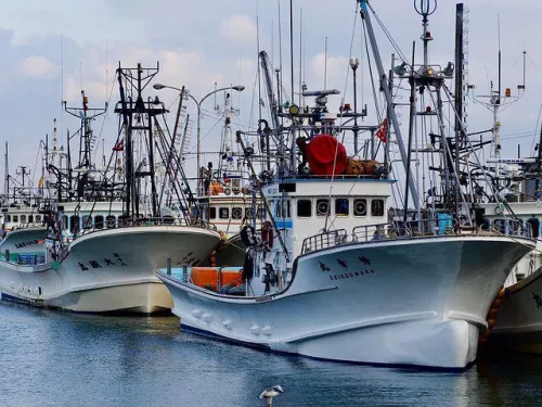 Рыбный порт продолжает внедрять культуру непрерывных улучшений