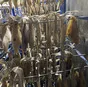 рыбная продукция от производителя в Мурманске 2